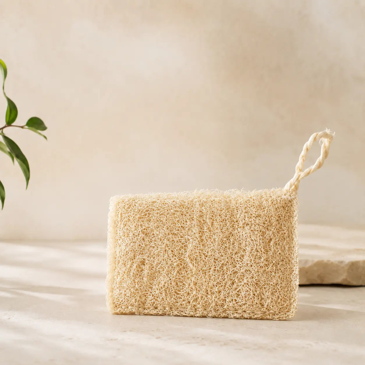 Fregall de Cuina Natural · Luffa Vegetal