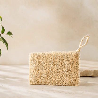 Fregall de Cuina Natural · Luffa Vegetal