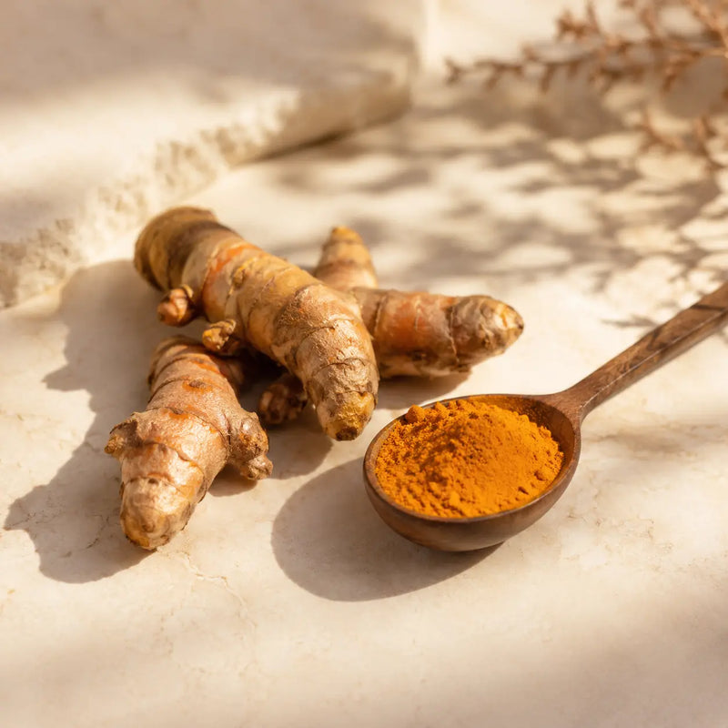 CÚRCUMA (CURCUMA LONGA)