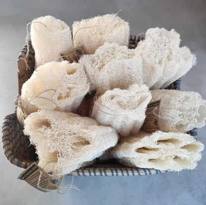 Esponja Vegetal de Bany · Luffa Natural